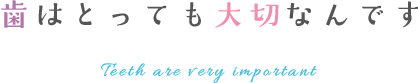 歯はとっても大切なんです